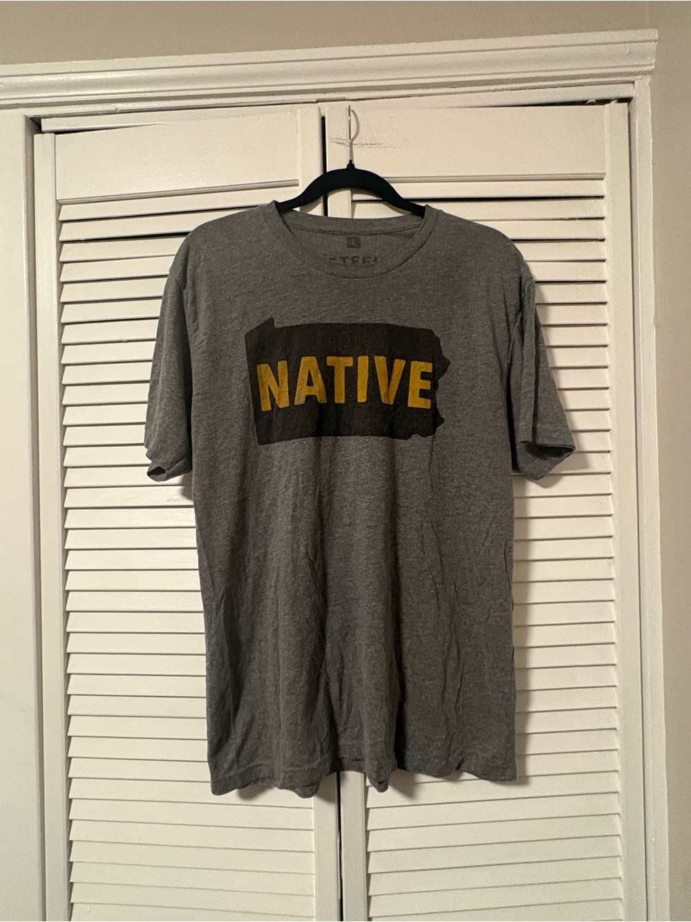 Steel City Gray 'PA NATIVE' Graphic Tee - Men's Casual Shirt